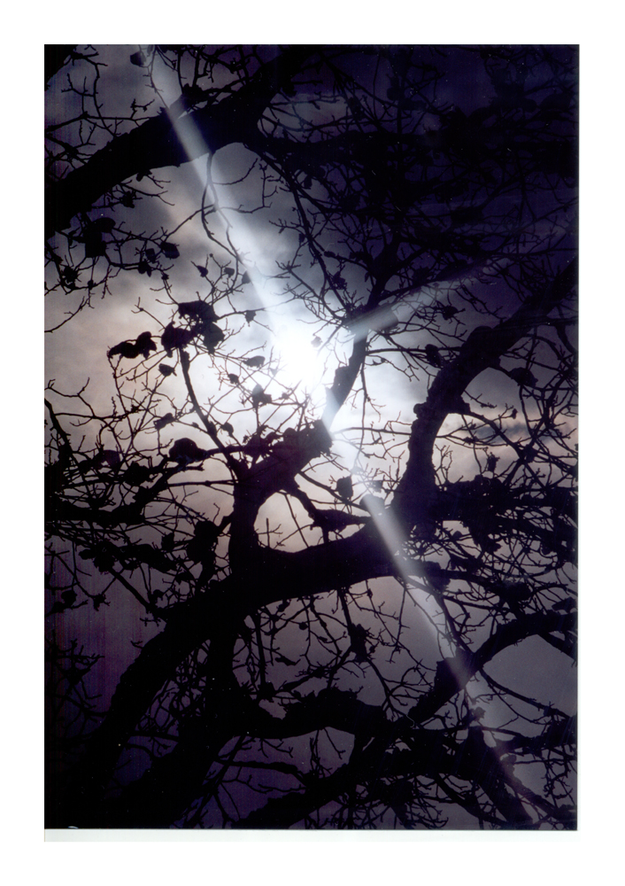 natur1