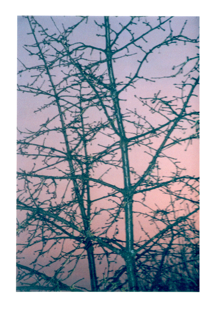 natur3