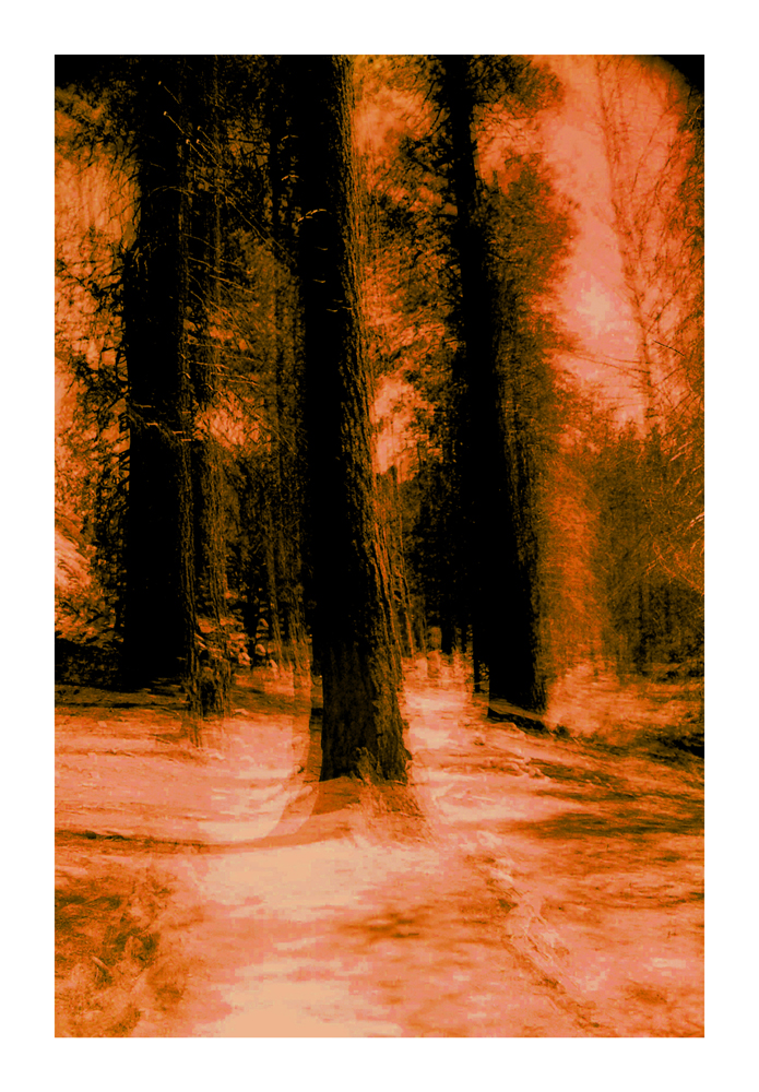 CA_01