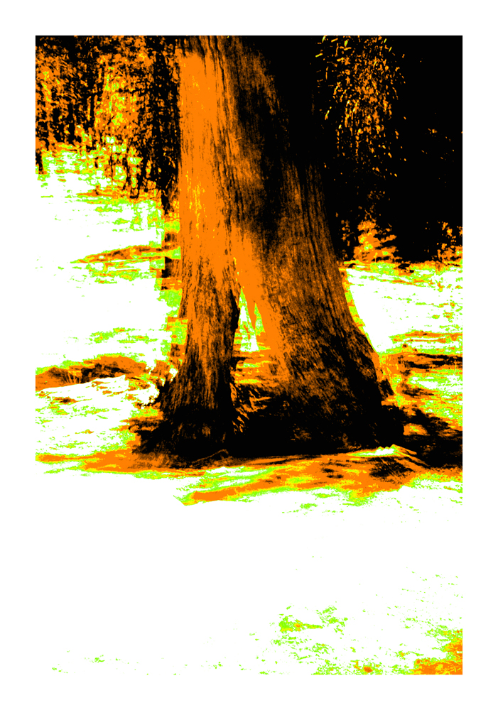 CA_04