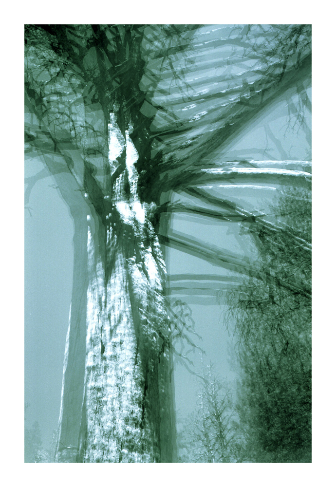 CA_07