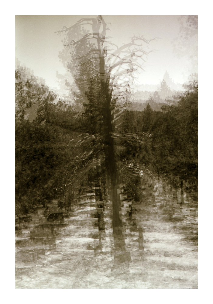 CA_12