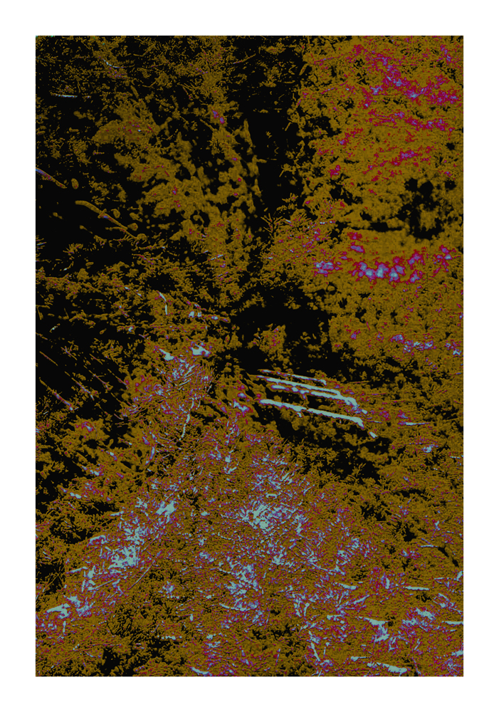 CA_17