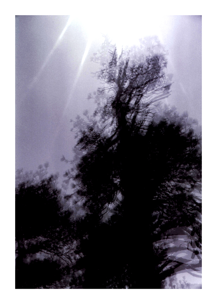 CA_21
