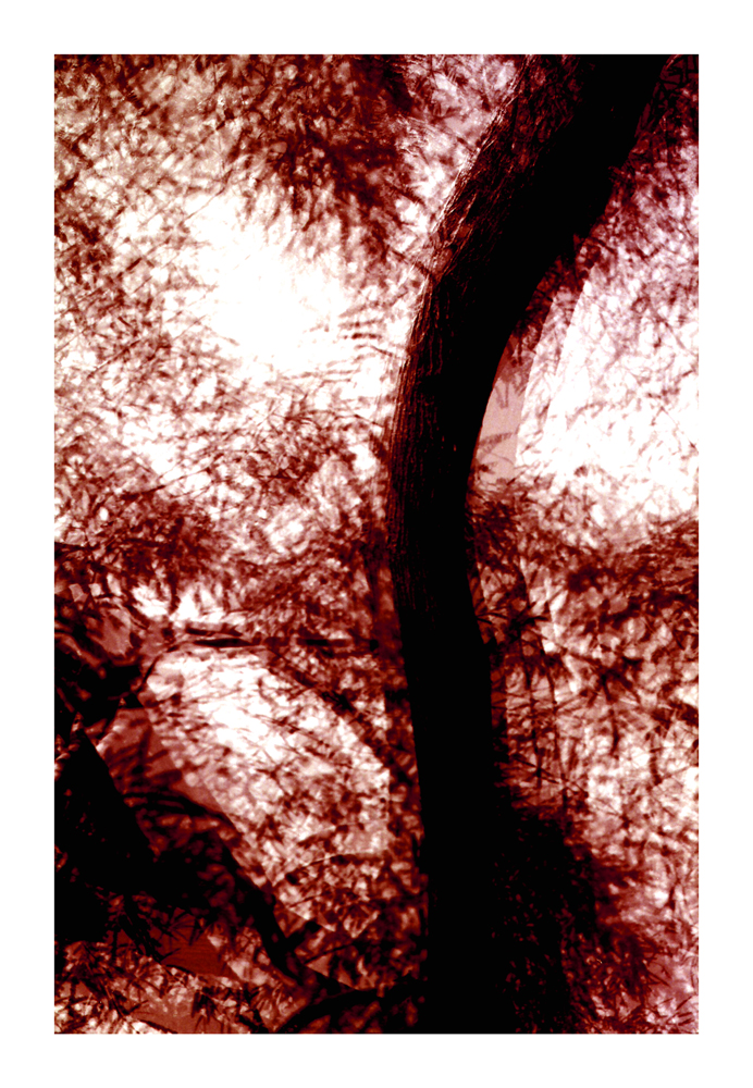 CA_22