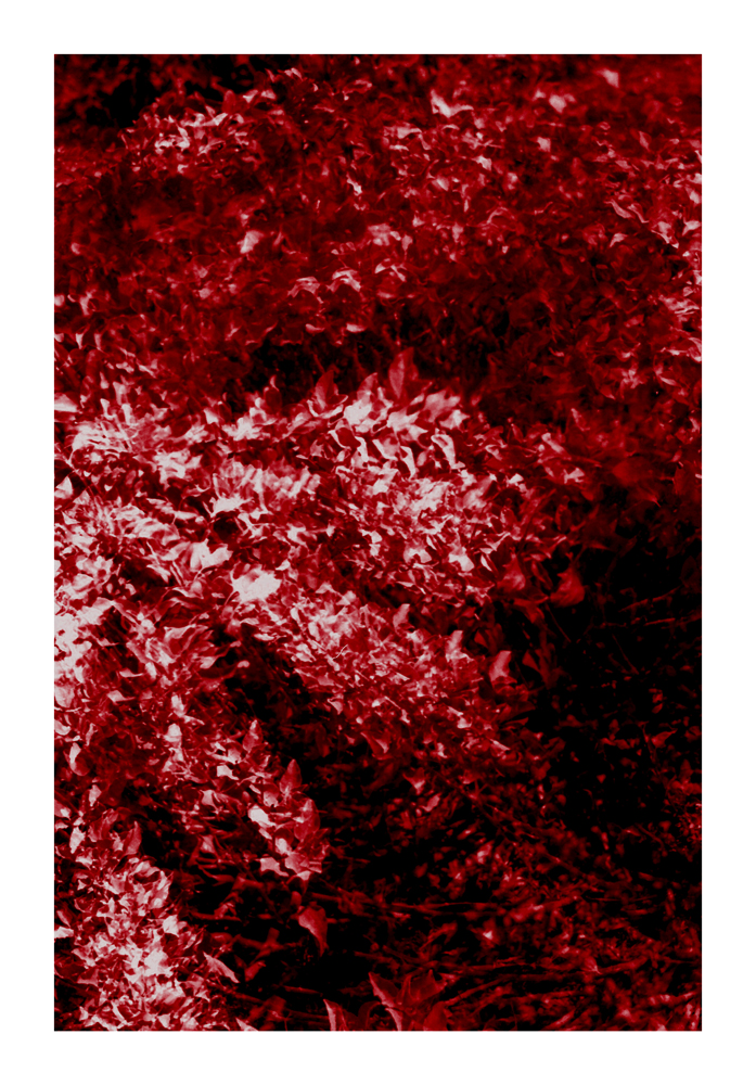 CA_26