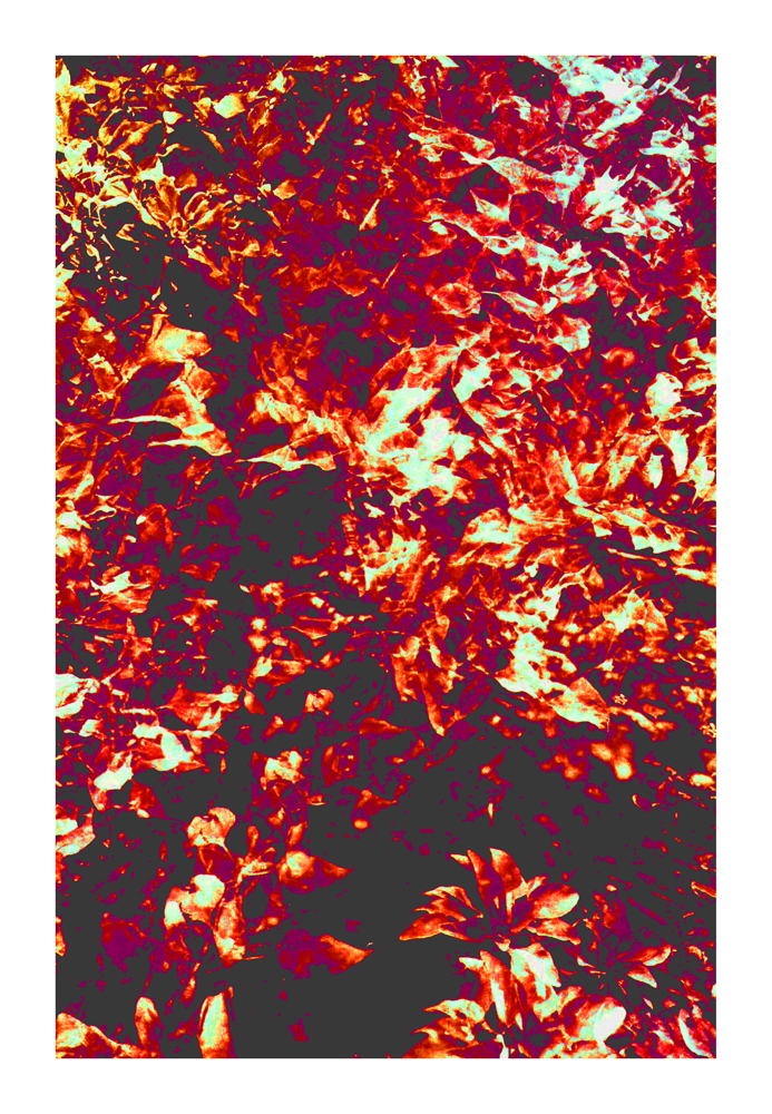 CA_27