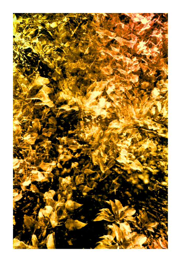 CA_28