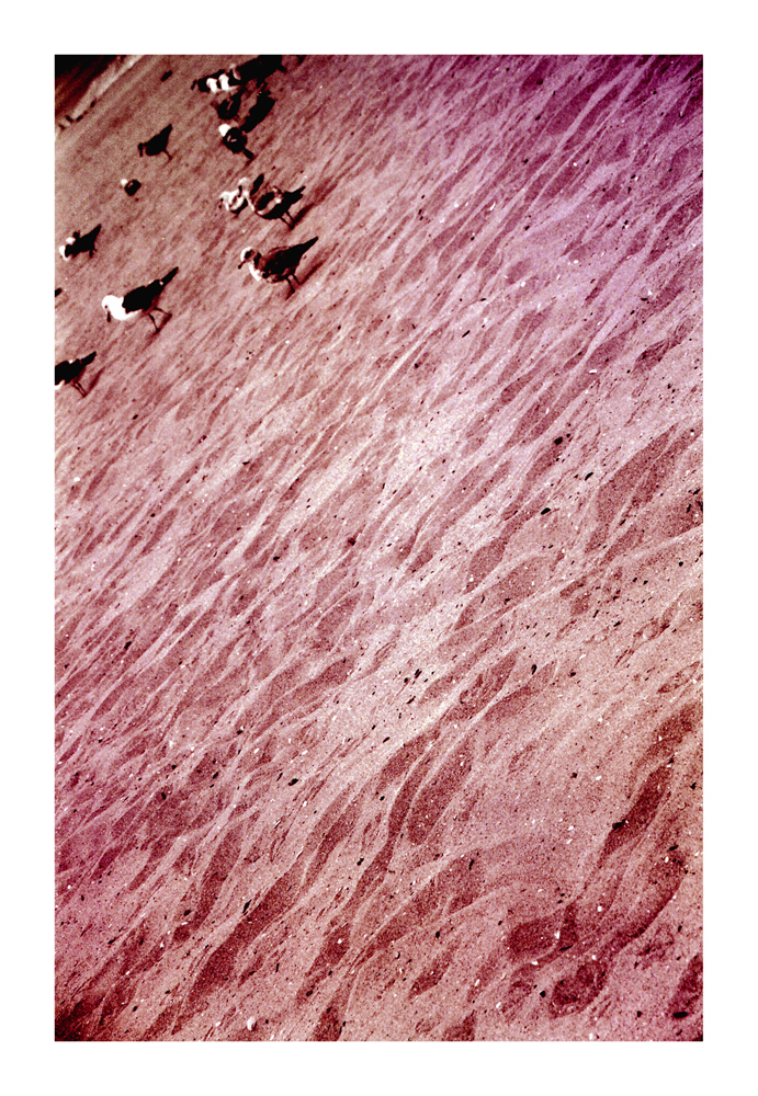 CA_37