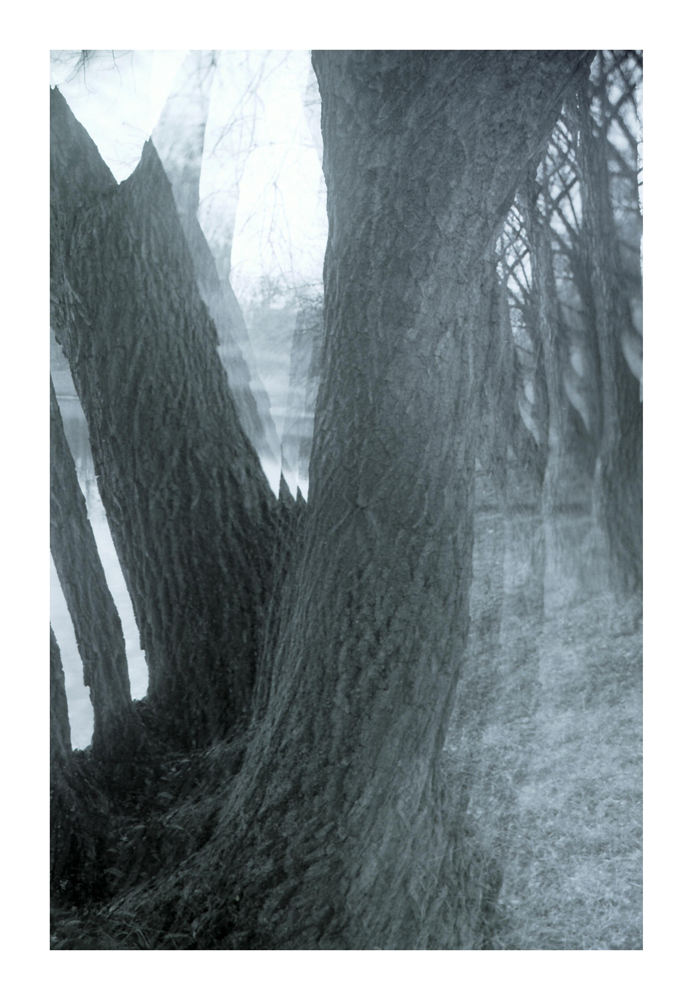 Ravine_1