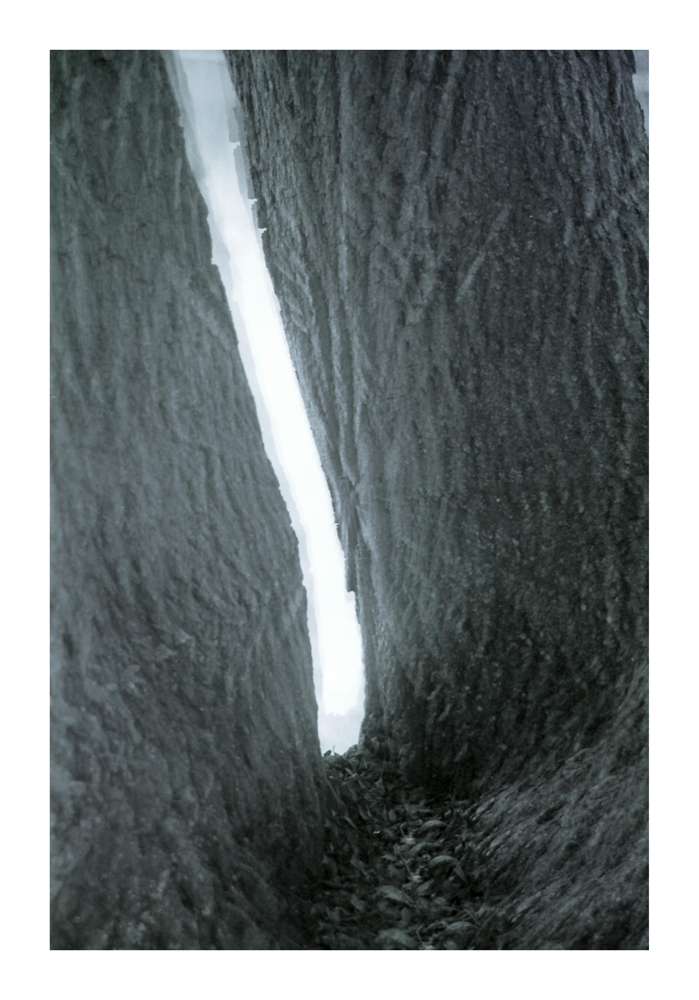 Ravine_4