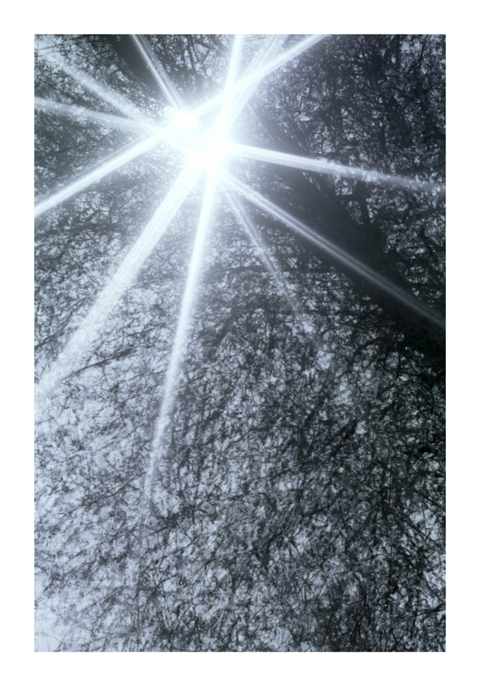 sonne1