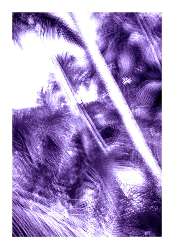 urwald001