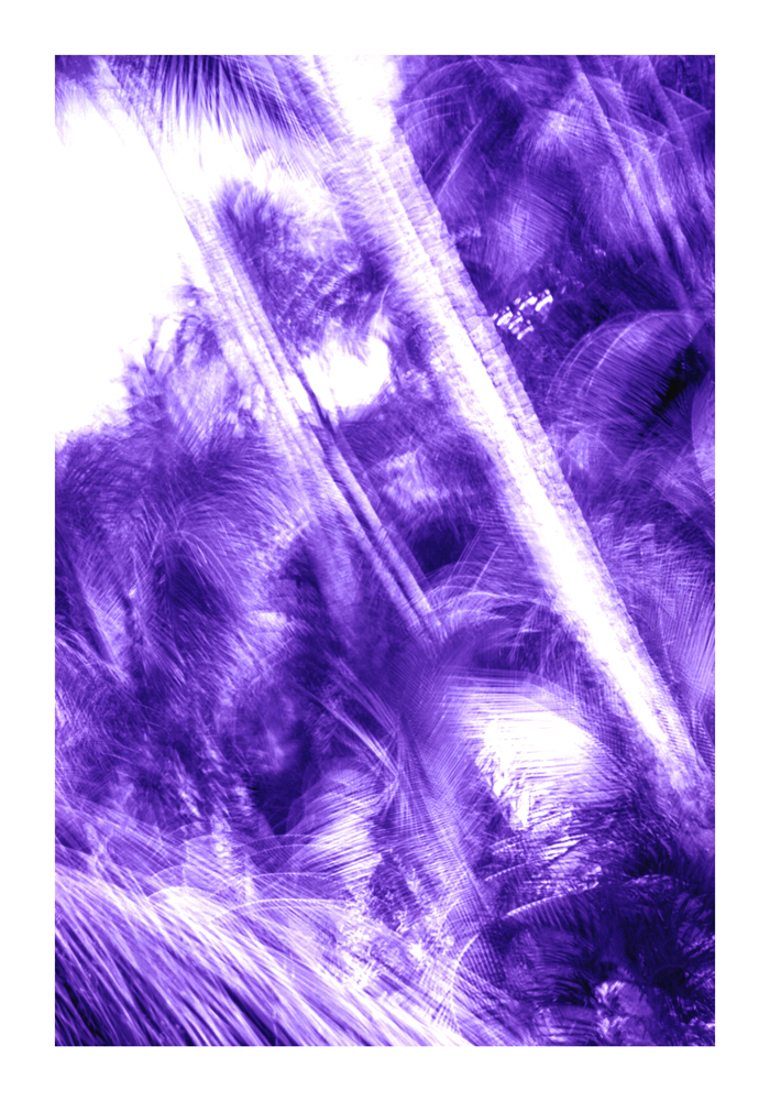 urwald003