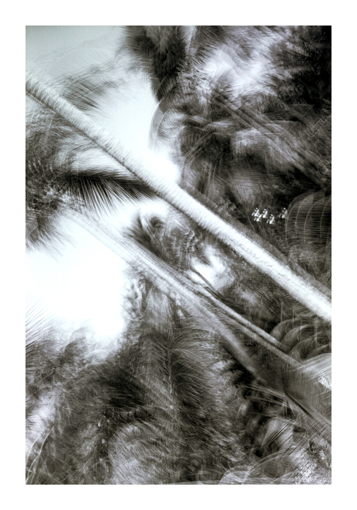 urwald01