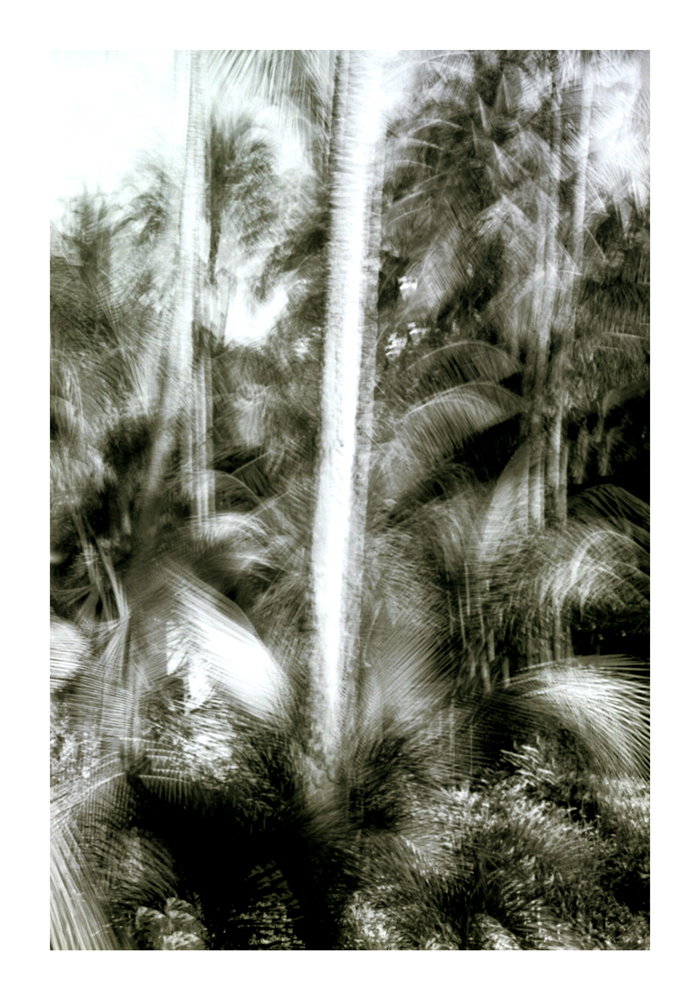 urwald02