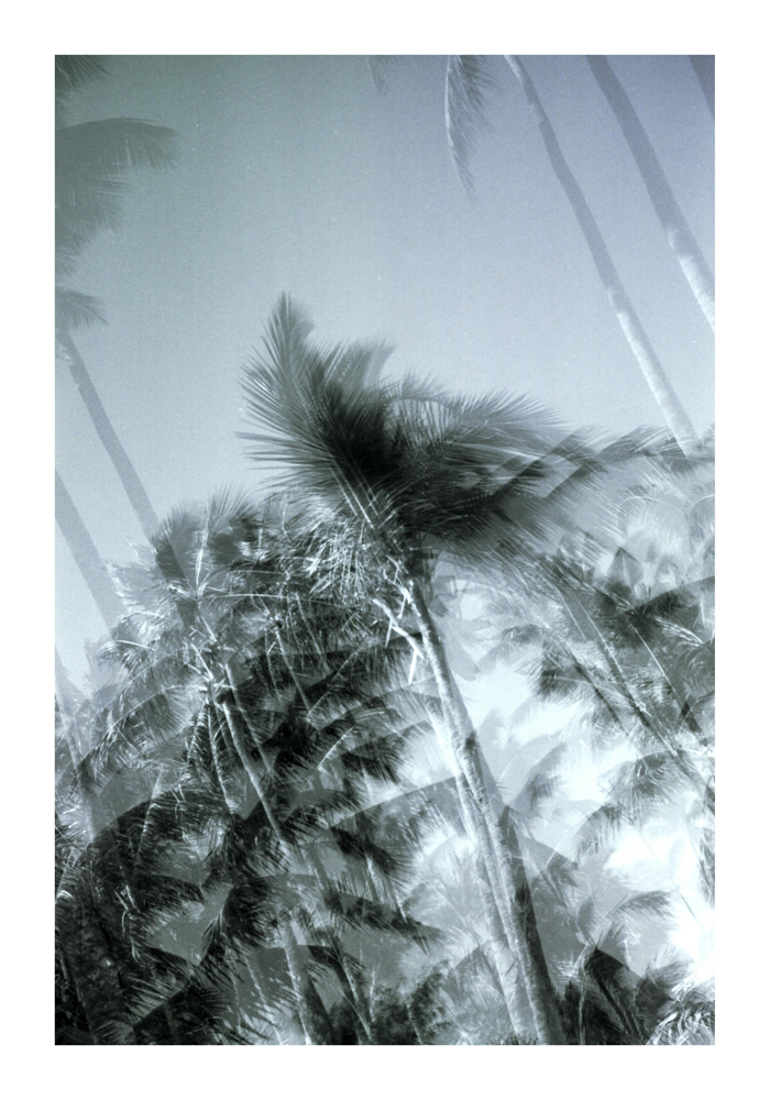 urwald6
