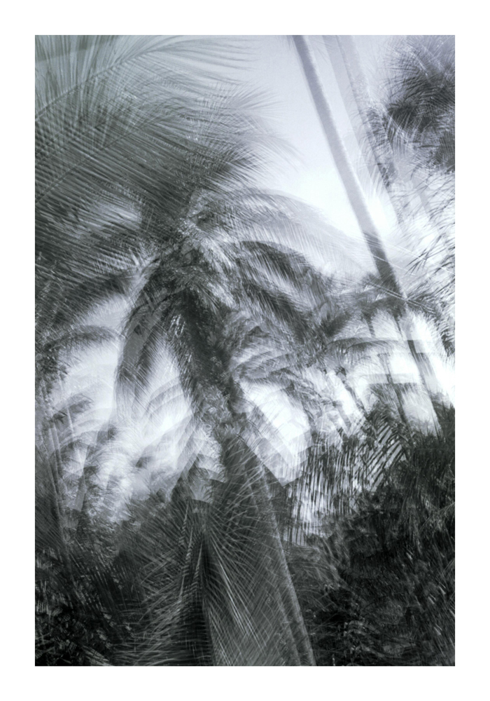 urwald7