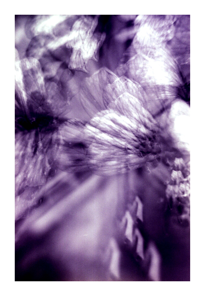 desert_flow2