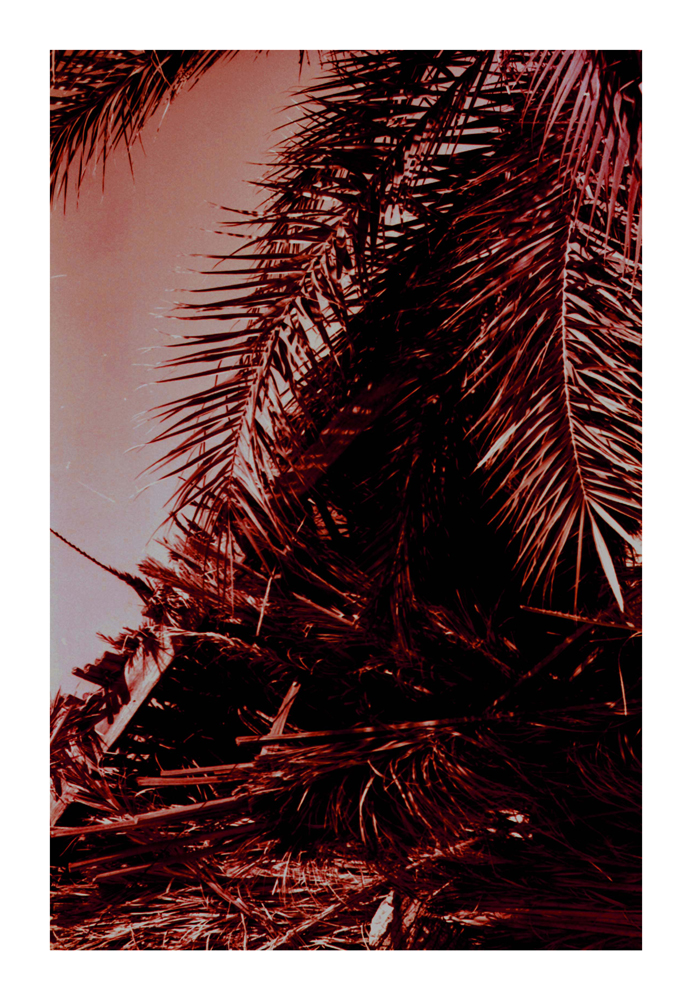 desert_nature05