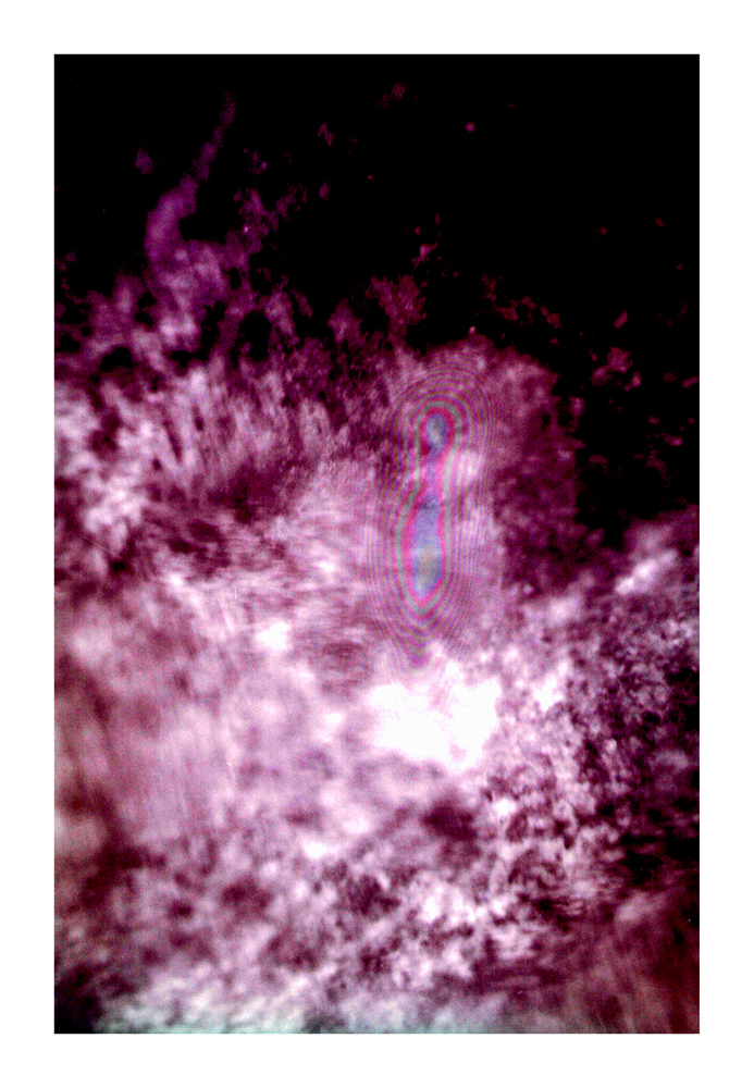 protist5