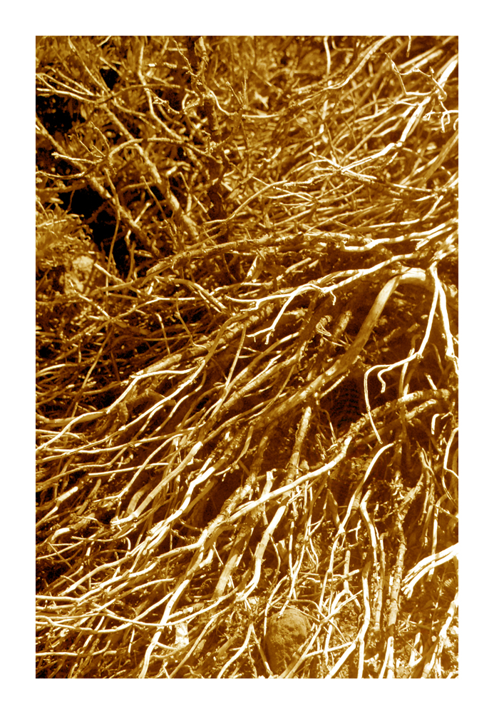 Volcanic_02a