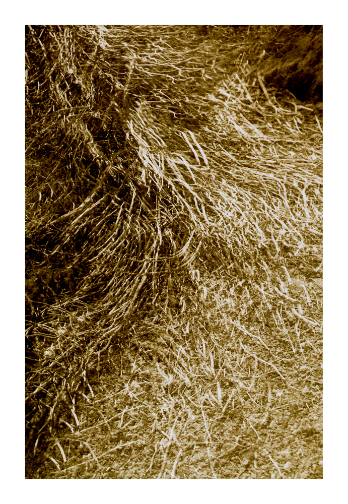Volcanic_03