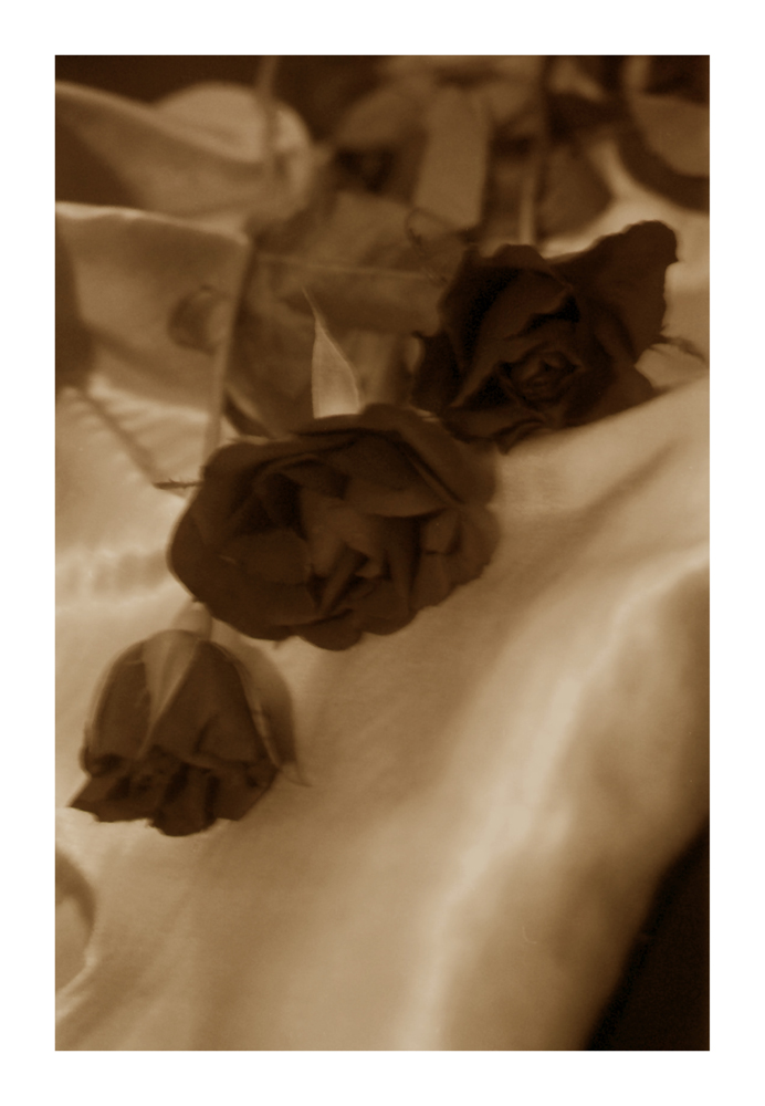 rose-bud_18